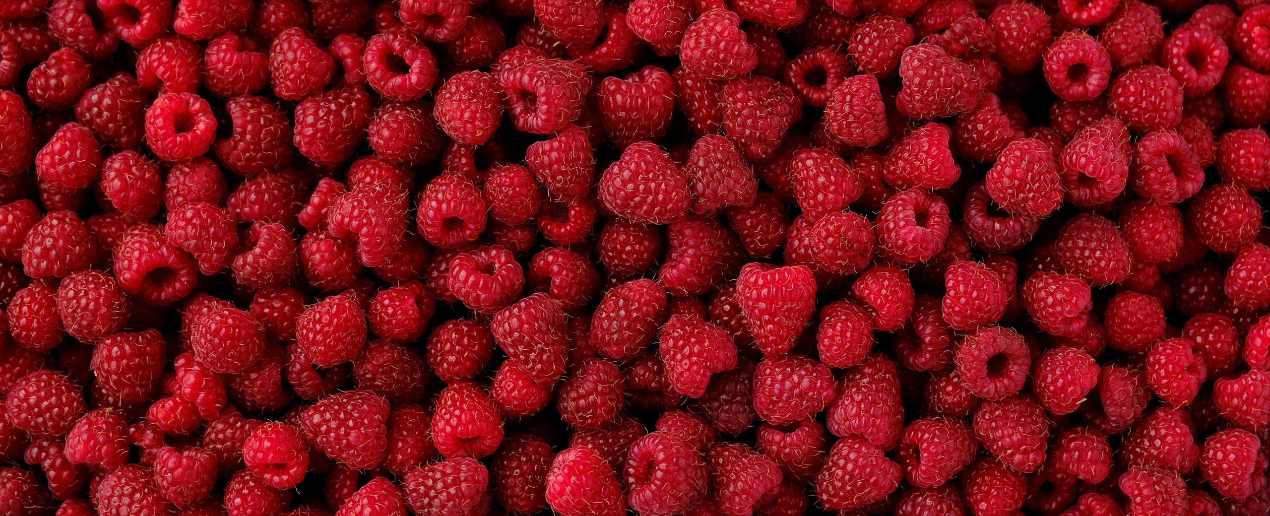 Fruit,Banner,From,The,Harvest,Of,Ripe,Organic,Raspberries
